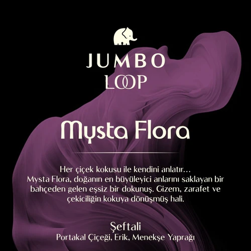 Jumbo Loop Mysta Flora Çubuklu Oda Kokusu, Mat Gül Kurusu Şişe