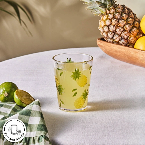 Karaca Pina Akrilik Su Bardağı 440 ml Şeffaf 