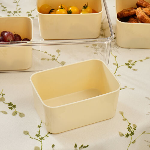 Karaca Suzi 4 Bölmeli Taşınabilir Dikdörtgen Saklama Kabı