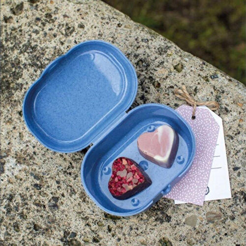 Koziol Mavi Mini Yemek Saklama Kutusu