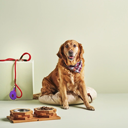 Karaca Home Bricks 2'li Evcil Hayvan Kedi ve Köpek Mama Kabı 500 ml Karaca Home Bricks 2'li Evcil Hayvan Kedi ve Köpek Mama Kabı 500 ml