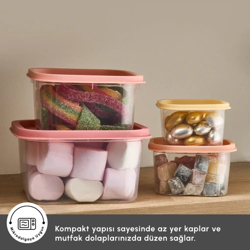 Karaca Dora Mini 4 Parça Saklama Kabı