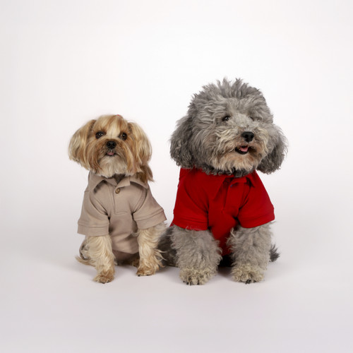 Karaca Home x Pati I Woof you T-Shirt M Beden Vizon