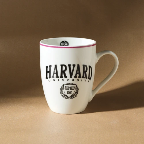 Karaca Harvard Kupa 350 Ml Siyah Kırmızı