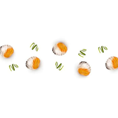 Lekue 11'li Deniz Kabuğu Buz Kalıbı Sarı Lekue 11'li Deniz Kabuğu Buz Kalıbı Sarı