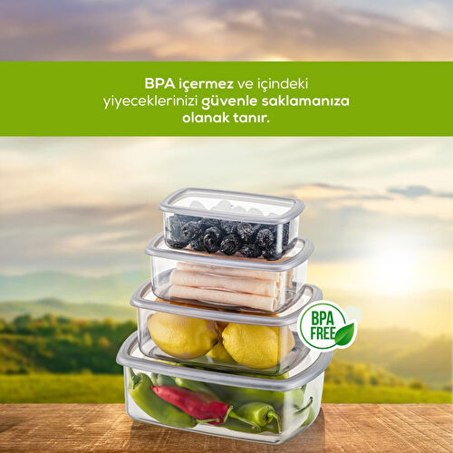 Vienev 4'lü Hava Geçirmez Saklama Kabı Seti Antrasit 1x(250-500-750-1200 Ml)