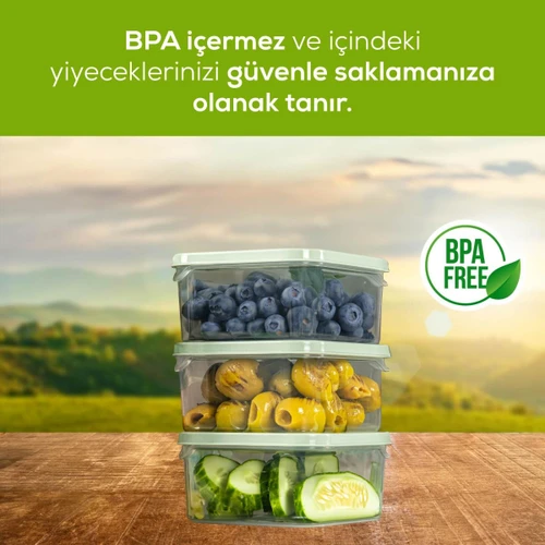 Vienev 6'lı 350 Ml Buzdolabı Dondurucu Organizer Mikrodalga Ve Difrize Uygun Saklama Kabı Mint