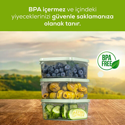 Vienev 12'li 350 Ml Buzdolabı Dondurucu Organizer Mikrodalga Ve Difrize Uygun Saklama Kabı Mint