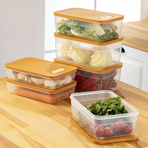 Vienev 6'lı Ayarlı Sebze Ve Meyve Saklama Kabı Turuncu 2x(2,5-3,8-5 Li̇tre)