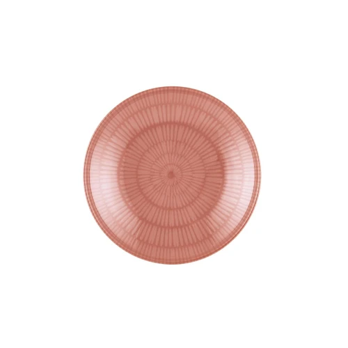 The Mia Noon Yemek Tabağı 6lı Somon 20 Cm