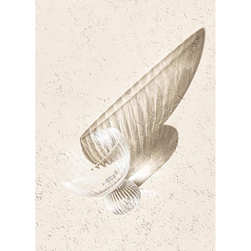 The Mia Cam Dondurmalık Ve Tatlı Sunum Kasesi 280 Ml 0137