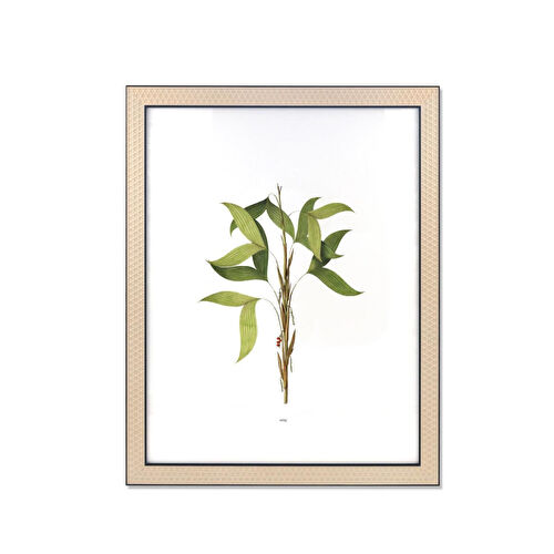 The Mia Vimini Fotoğraf Çerçevesi Siyah 40x50 Cm