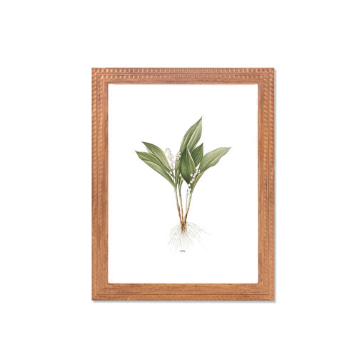 The Mia Vimini Fotoğraf Çerçevesi Kahverengi 30x40 Cm