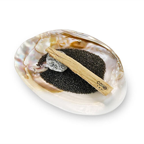 Coho Objet Coho Chakra All In One Hediye Tütsü Seti