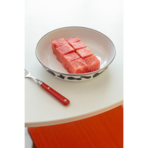 Emaylab Mötilda Emaye Bowl Tabağı - Bowl Kase - Salata Kasesi - Sunum Kasesi 21cm