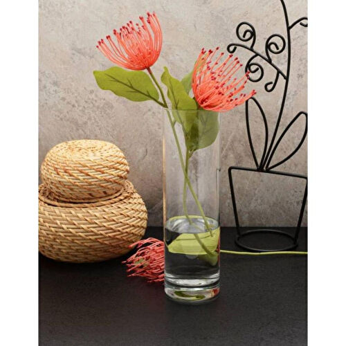 Paşabahçe Botanica 26 Cm Cam Vazo 43767