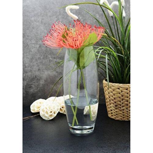 Paşabahçe 43966 Botanica Cam Vazo 26 Cm Paşabahçe 43966 Botanica Cam Vazo 26 Cm