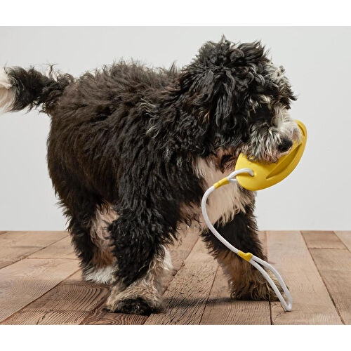 Tchibo Köpekler İçin Fırlatma Ve Su Oyuncağı