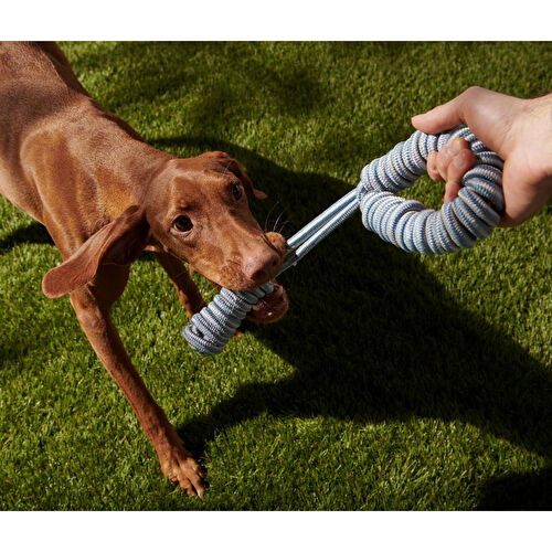 Tchibo Köpek Oyuncağı Bej-mavi