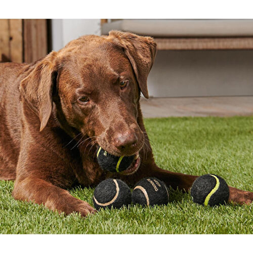 Tchibo Köpekler İçin Oyuncak Toplar