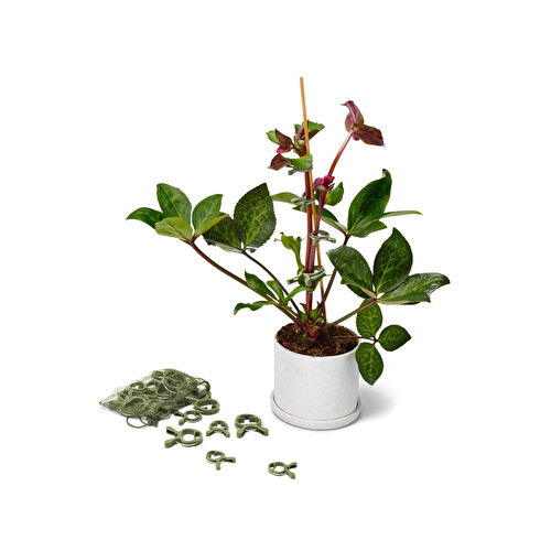 Tchibo Bitki Mandalı, 20 Adet