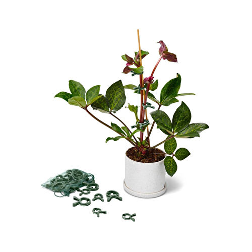 Tchibo Bitki Mandalı, 20 Adet Tchibo Bitki Mandalı, 20 Adet