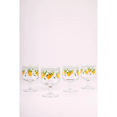 Rakle Bodrum 4'lü Dondurmalık Seti 300 cc