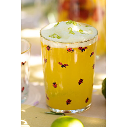 Rakle Lady Bird 4'lü Meşrubat Bardağı Seti 510 Cc