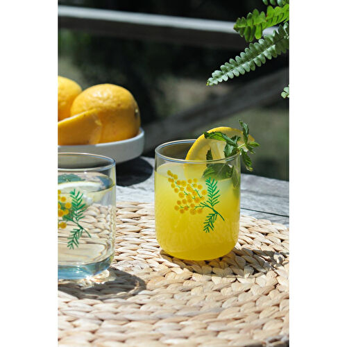 Rakle Mimoza 4'lü Su Bardağı Seti 280 Cc