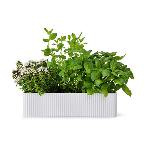 Tchibo Baharat Saklama Kutusu