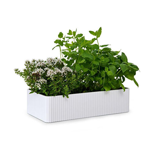 Tchibo Baharat Saklama Kutusu