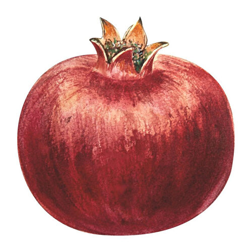 Maxxdeco Supla Servis- 12195