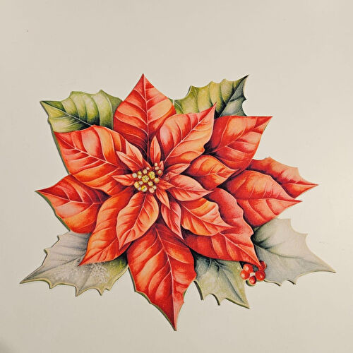 Maxxdeco 12 Parça Servis Seti-12208