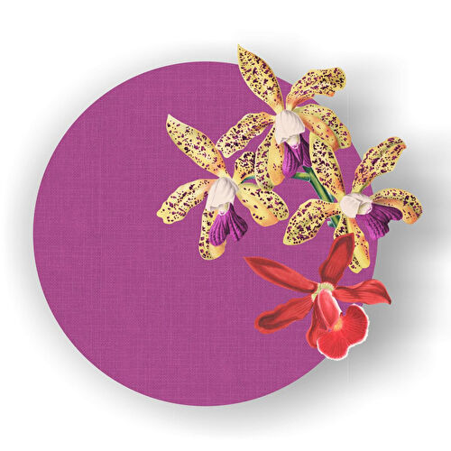 Maxxdeco Supla Servis- 12407