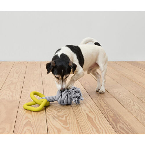 Tchibo Köpek Oyuncağı, Halat Halka