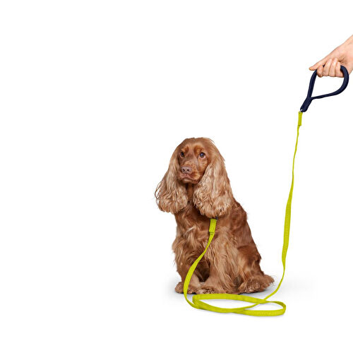 Tchibo Köpek Tasması, Reflektörlü