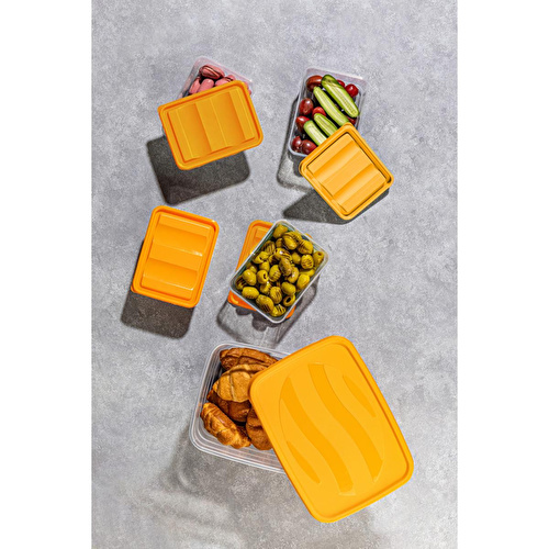 Vienev 5'li Set Dondurucu Ve Mikrodalgaya Uygun Buzdolabı Düzenleyici 1x(5 Litre) 4x(775 Ml) Turuncu