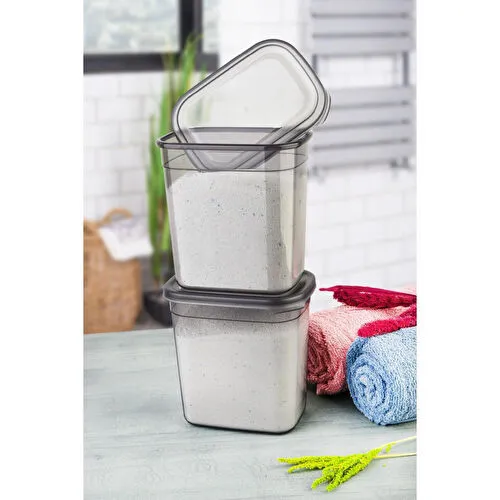 Vienev Etiketli 1150 Ml 2li Peggy Dikdörtgen Deterjan Saklama Kabı Seti Antrasit