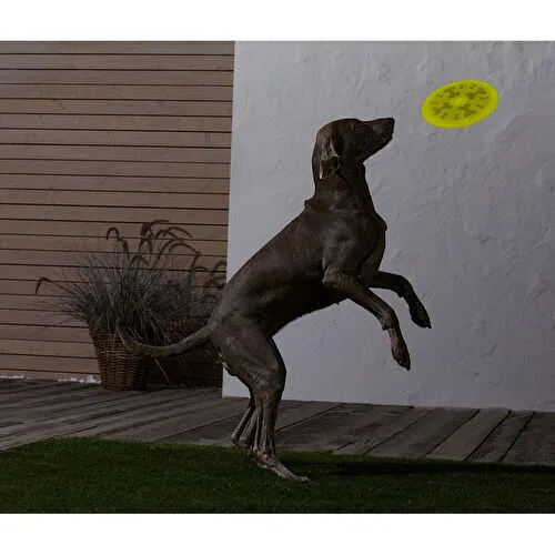 Tchibo Köpekler İçin Frizbi