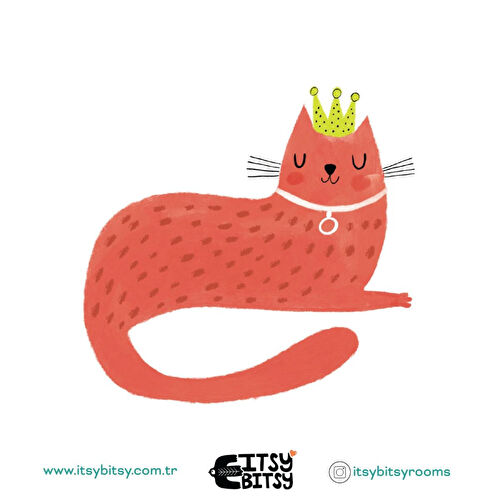 Itsy Bitsy Kids Kitty Of Queens Tek Kişilik Çarşaf Seti, Çok Renkli, 90x190cm