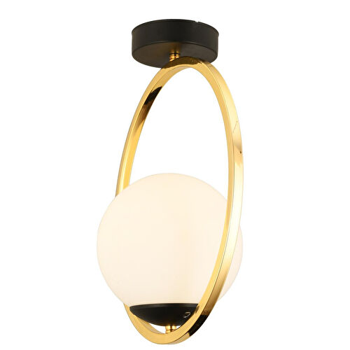 Apliqa Lifos Tekli Gold Kaplamalı Plafonyer Modern Mutfak Salon Avize Apliqa Lifos Tekli Gold Kaplamalı Plafonyer Modern Mutfak Salon Avize