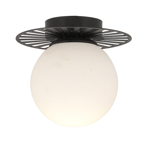 Apliqa Rakes Siyah Modern Plafonyer Genç Odası Mutfak Yatak Odası Avize