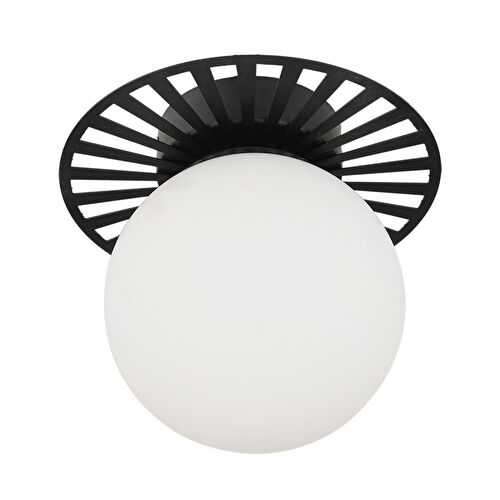 Apliqa Rakes Siyah Modern Plafonyer Genç Odası Mutfak Yatak Odası Avize