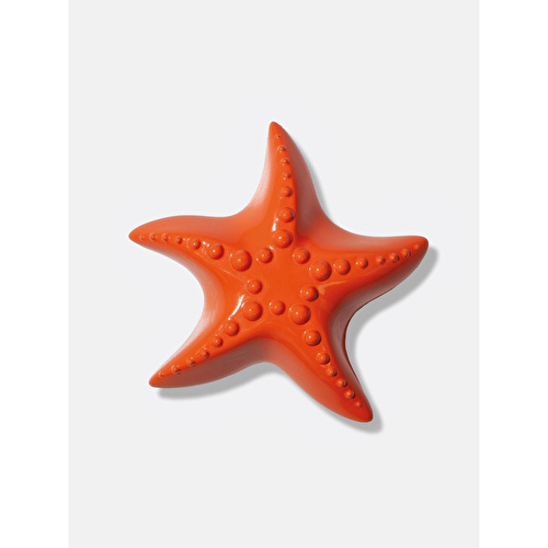 Doiy Ocean Dreams Deniz Yıldızı Şişe Açacağı