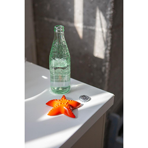 Doiy Ocean Dreams Deniz Yıldızı Şişe Açacağı Doiy Ocean Dreams Deniz Yıldızı Şişe Açacağı