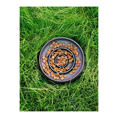 Beige & Stone Slow Eat Yavaş Yeme Seramik Mama Kasesi L Siyah