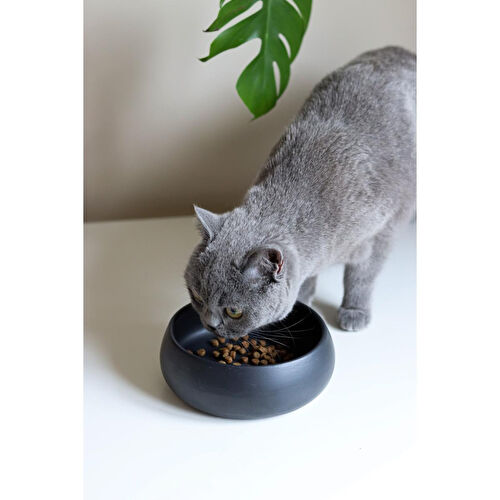 Beige & Stone Slow Eat Yavaş Yeme Siyah Seramik Mama Kasesi (s)