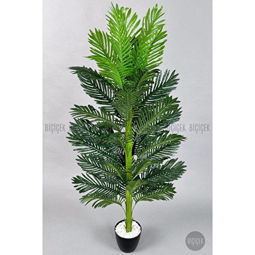 Biçiçek Yapay Areka Ağacı 160-180 Cm Ağaç160cm