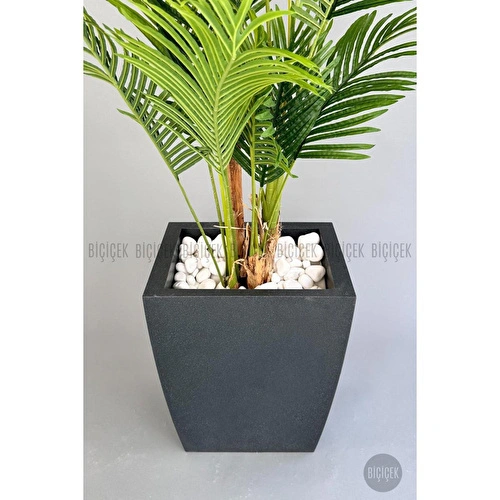 Biçiçek Yapay Areka Palmiyesi 220 Cm Lux Dış Mekan Saksıda Siyah-gümüş Biçiçek Yapay Areka Palmiyesi 220 Cm Lux Dış Mekan Saksıda Siyah-gümüş