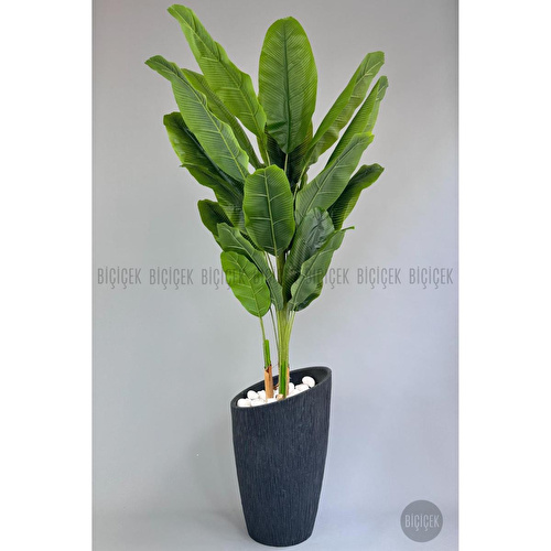 Biçiçek Yapay Muz Ağacı 230 Cm Lux Dış Mekan Saksıda 1 Biçiçek Yapay Muz Ağacı 230 Cm Lux Dış Mekan Saksıda 1